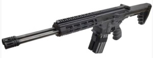 GILBOA DBR SNAKE RFL 223 DBL BRL AR