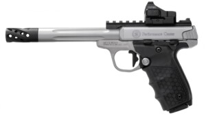 Smith and Wesson SW22 Victory Target